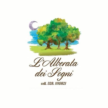 L'Alberata Dei Sogni Bed and Breakfast Frosinone Eksteriør billede